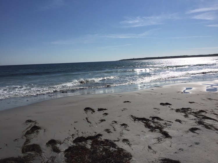 crow neck beach.jpg